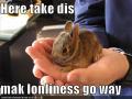 funny-pictures-bunny-takes-loneliness